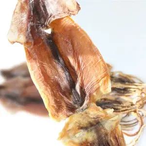 동해안 당일바리 오징어(특대)10마리(1kg내외)