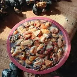 국내산 남해안 생물 홍합살