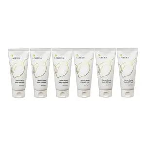 시즌2 라비오라 레몬 허니 워시오프 팩 150g 6개