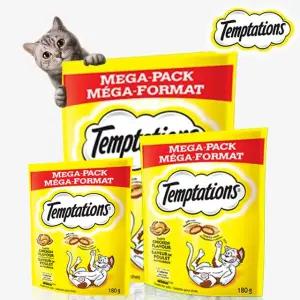 템테이션 메가팩 맛있는 닭고기(160g) 10개