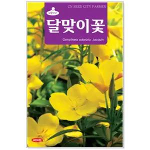 달맞이꽃 4000립 민속씨앗 약초 특용작물 산나물종자 텃밭재배(CN)