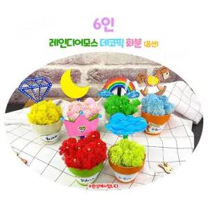 6인용 방과후수업 초등놀거리 만들기키트 집중력활동 화분만들기 어린이집