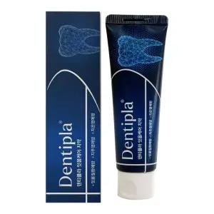 덴티플라 잇몸케어 치약 100g 1개 / 써클