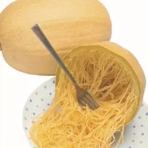 스파게티 호박 씨앗 국수호박 종자 호박 씨 30알 (KR)