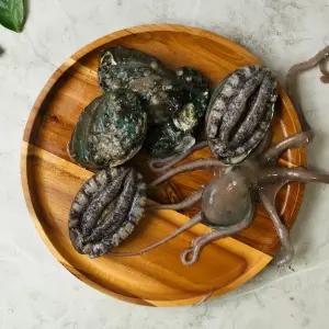 당일조업 중소낙지 5마리 활전복 세트 목포 무안 뻘낙지 신안 산낙지 낙지 선물 볶음 버터 구이