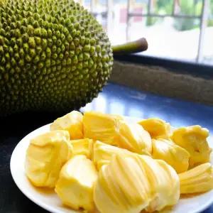 베트남 냉동 잭푸르트 2kg 베트남잭푸르트 씨없는 잭푸룻 잭프루트 잭후르츠 잭푸르츠