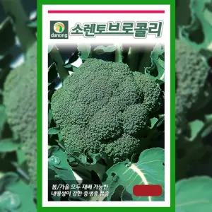 브로콜리 씨앗 소렌토 1000립 채소 베란다 텃밭 야채