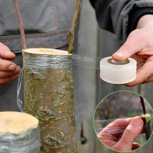 과일 나무 묘목 식물용 접착식 접목 테이프 필름 2롤, 포도나무, 꽃꽂이, 토마토 용품, 신축성