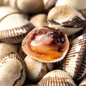 [대한민국농수산] 벌교 여자만 새꼬막 (대) 1kg