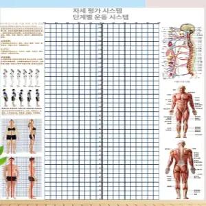 분석표 체형측정 평가표 교정 헬스장 격자 스크린 자세 측정도구