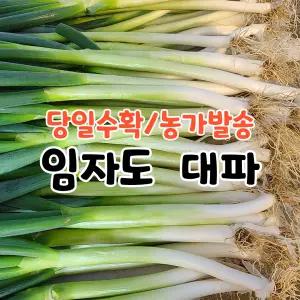 5kg 국내산 손질 대파 (임자도파파)