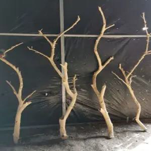 앵무새 놀이터 사다리 정글짐 대형 횃대 조류 그네 앵무새장난감 유격 새집 스탠드 횟대