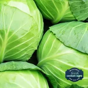 국내산 제주 양배추 2kg