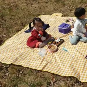 대형 옐로우 매트 체크무늬 피크닉 방수 가성비 좋은 실용적인 데일리 필수템