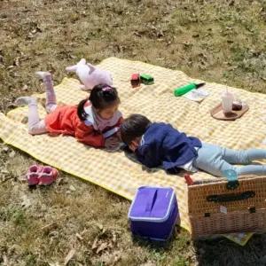 옐로우 매트 체크무늬 피크닉 방수 중형 가성비 좋은 실용적인 데일리 필수템