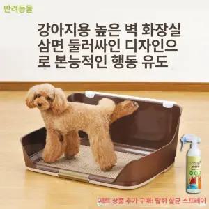 시나몽 배변패드판 패드 강아지 배변매트 대형 대형견