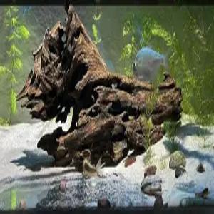 열대어 유목 은신처 대형 수조 물고기집 나무 인테리어 수초 어항장식