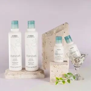 [소비기한 26 08 01] 공식수입_샴퓨어 샴푸 250mlX2 +컨디셔너100ml정품)