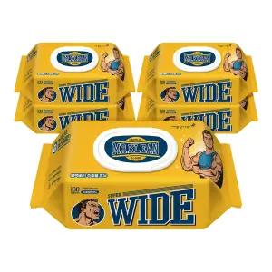 깨끗한나라 미스터클린 물티슈 캡 100매 5입 190850