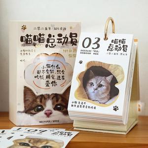 2025탁상달력 고양이 일력 달력 포다리움 브리아 프 San X 연말