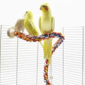 앵무새 컬러 횃대 1P 80cm 장남감 그네 휴식공간