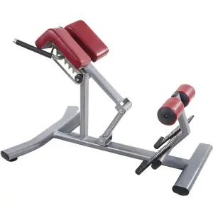 척추 (블랙 로만체어 기립근 복근운동기구 기구 머신 백익스텐션 피트니스