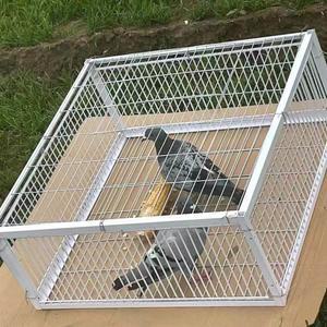 조류 망 비둘기 새장 트랩 케이지 참새 철제 길이40x너비30x높이26 한면