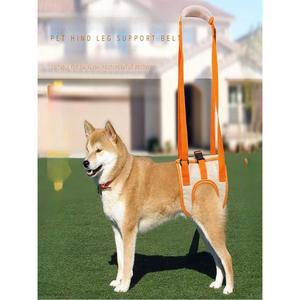 강아지 허리 중형견 보호대 견인 뒷다리 오렌지 다리 애견용품 보행보조