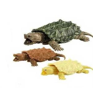 늑대거북 피규어 같은 파충류 실물 모형 거북이 세트 3종