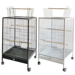 대형 새장 날림장 앵무새 카이큐 앵무새새장 코뉴어 아크릴