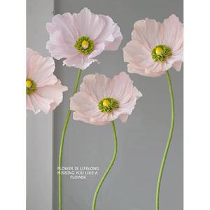 대형 자이언트 플라워 D. 샴페인 예식장 꽃장식 페이퍼 포피 장식 연한 카페 입체