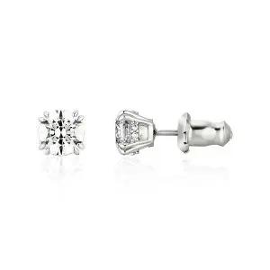 여성 Stilla Constella 스터드 귀걸이(5636712)