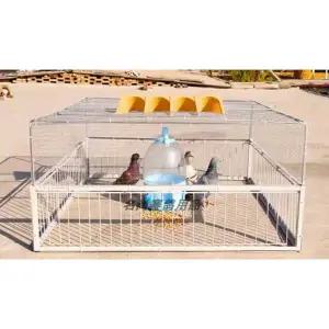 조류 새 비둘기 트랩 평탑 케이지 상품 철제