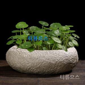 티류으스 세라믹 도자기 옹기 어항 수반 금붕어 물고기 수경재배 가정용 항아리 돌 연