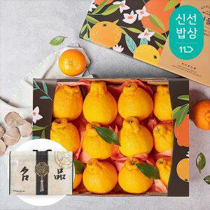 [품질보장] 제주 한라봉 2.6kg 12-14과