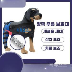강아지 슬개골 보호대 무릎 다리 관절 탈구 애견 반려견 파랑 XS-초소형 1ml 티류으스