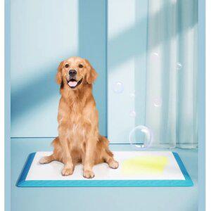 강아지 배변패드 애견 반려견 애완용품 소형견 대형견