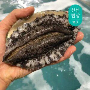 국산 완도 활 전복 특대 8~9미 횟감용 구이용 1kg 전복 /산소포장/손질용 솔 포함
