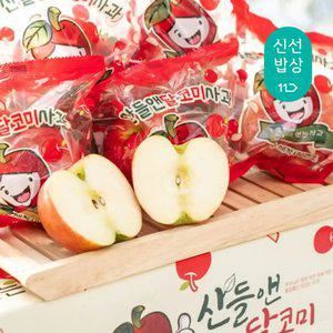 [세척사과 국내리뷰수1위!] 25년 햇 부사 당도선별 고당도! 프리미엄 산들앤 달코미 세