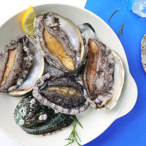 (완도생협)특대 활전복 1kg 10-11미