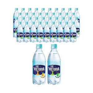더 빅토리아 탄산수 파인애플 500ml, 20개 + 청포도향 500ml, 20개