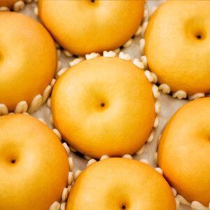 두리농원의 과즙많은 맛있는 배 5kg(11-13과/9-10과/5-8과)