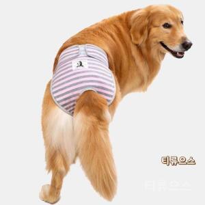 리트리버 생리 팬츠 위생 암컷 팬티 중대형 애완견 속바지 티류으스