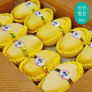 프리미엄 고당도 골드망고 2kg