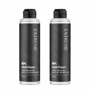 [내일도착][1+1]불스원 불스파워 엔진코팅제 익스트림 300ml, 2개입