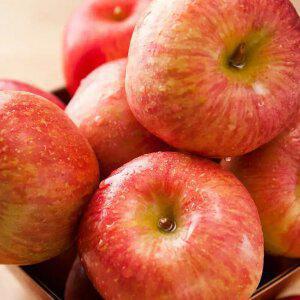 경북 햇사과 가정용 부사사과 2kg 중과 (9-10과)