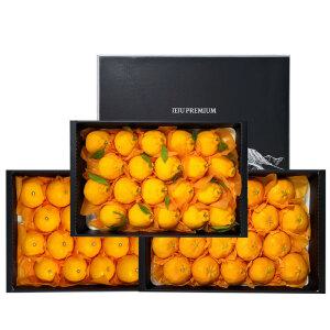 [선물용] 제주 한라봉,천혜향,레드향 4.5kg 세트