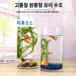 통 수조 어항 용기 원통 원형 유리 투명 관상용 글라스 수족관 원기둥 탁상용 티류으스