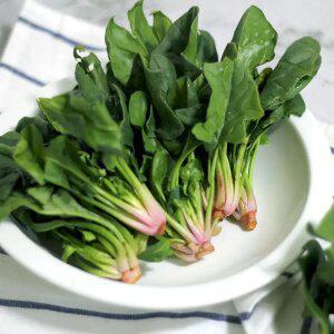 해풍 맞고 자란 남해 보물초 시금치 2kg