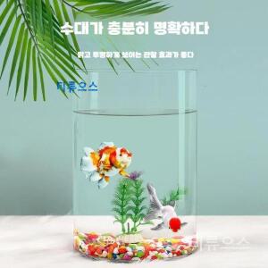 둥근 유리 어항 금붕어 거북이 관상어 수조 원통 수조관 투명 가정용 사무실 티류으스